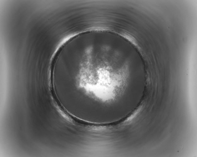 X0000086921030200704301053