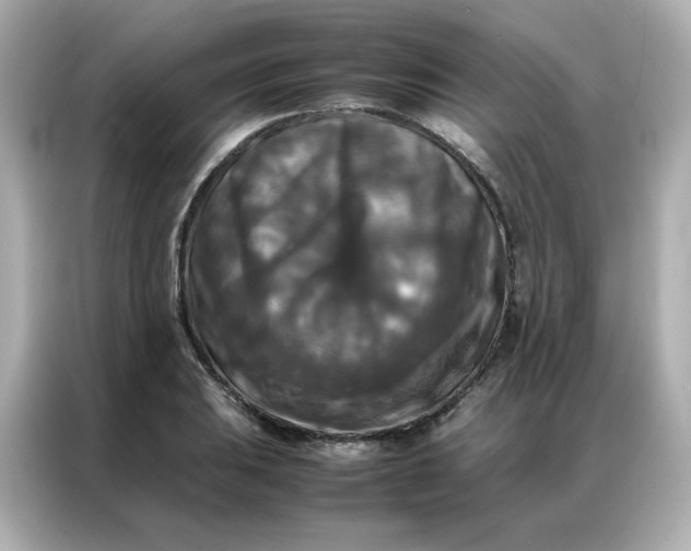 X0000086921031200704301053