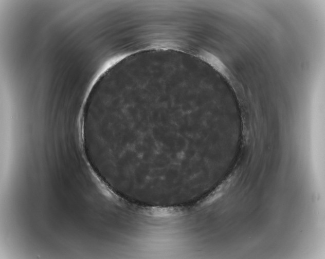 X0000086921032200704301053