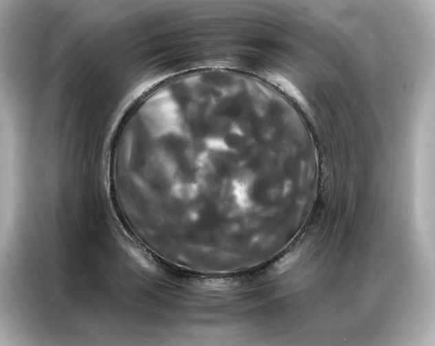 X0000086921035200704301053