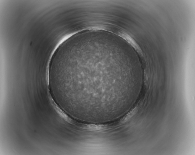 X0000086921036200704301053