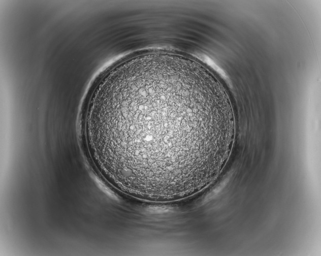X0000086921037200704301053