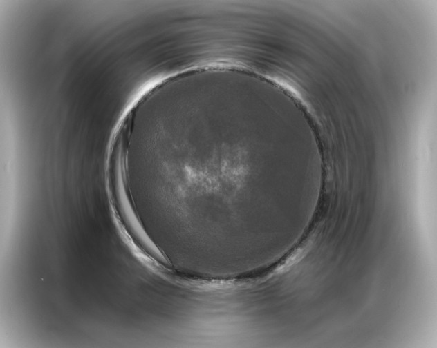 X0000086921038200704301053