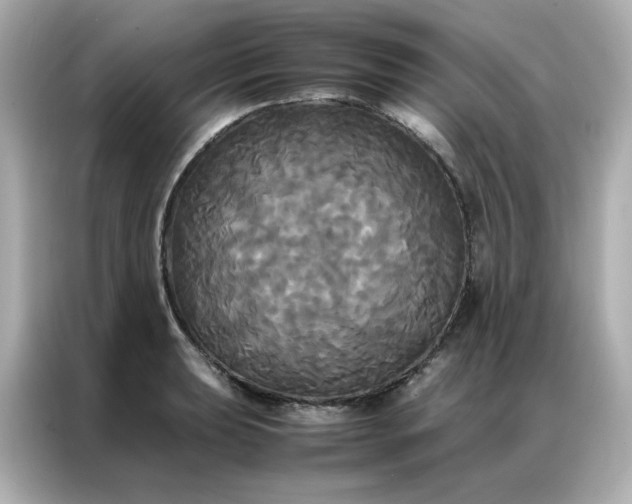 X0000086921039200704301053