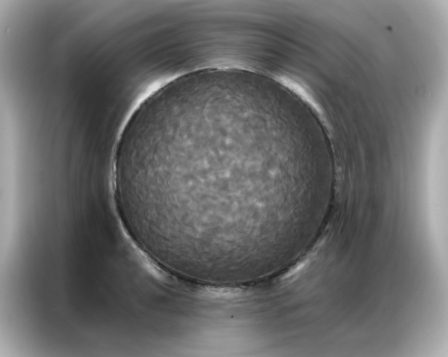 X0000086921040200704301053