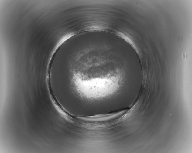 X0000086921042200704301053