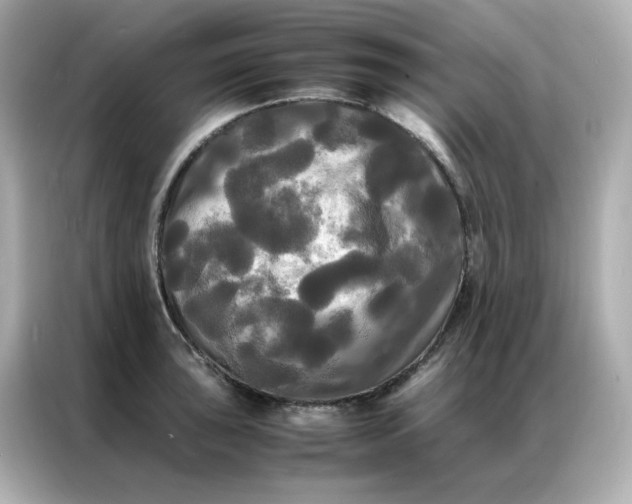 X0000086921043200704301053