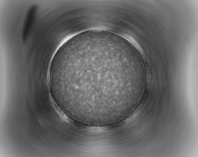 X0000086921044200704301053