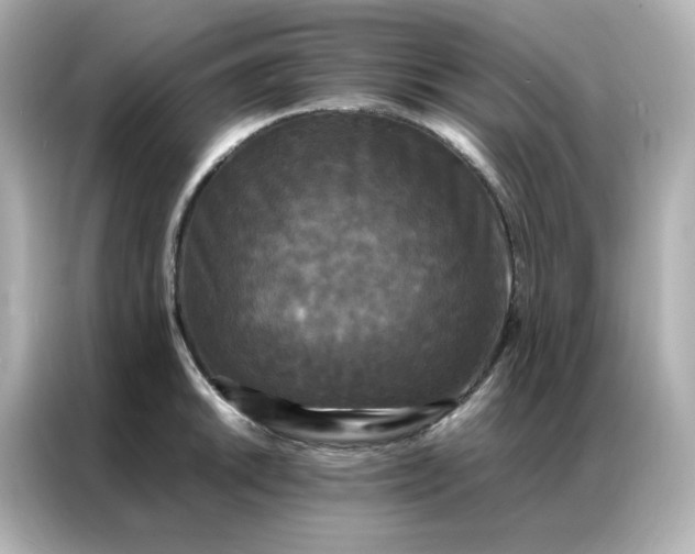 X0000086921046200704301053