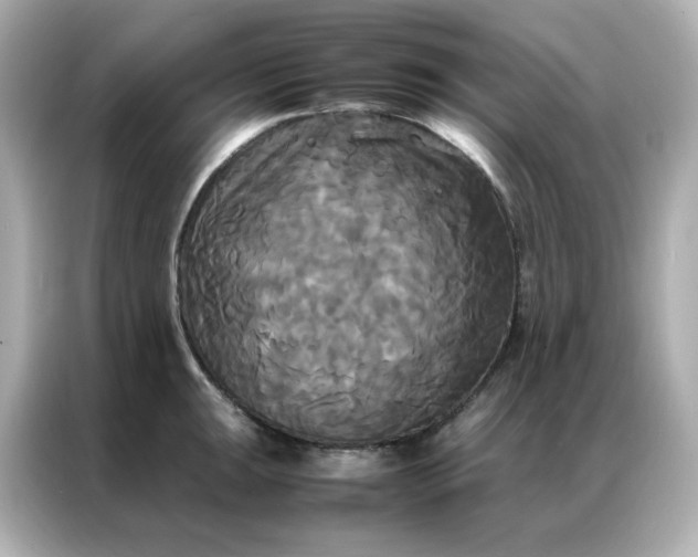 X0000086921047200704301053