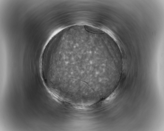 X0000086921048200704301053