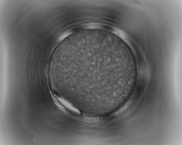 X0000086921049200704301053