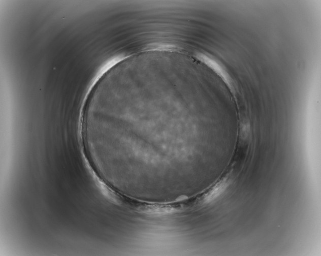 X0000086921050200704301053