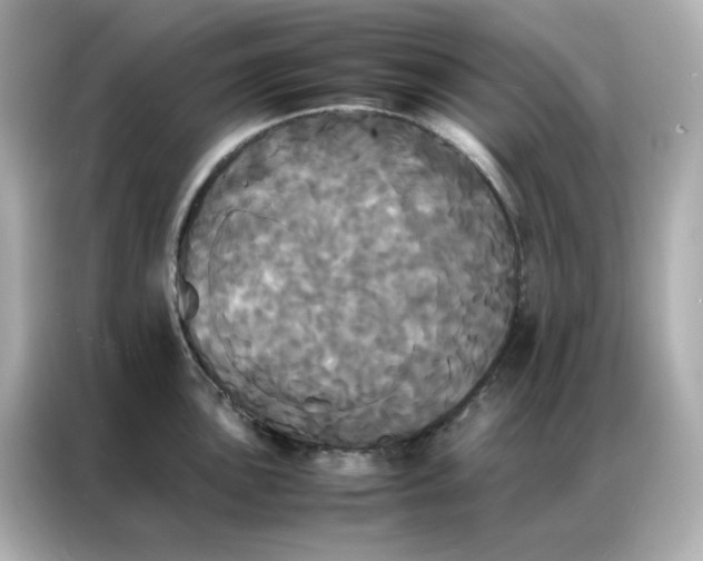 X0000086921051200704301053
