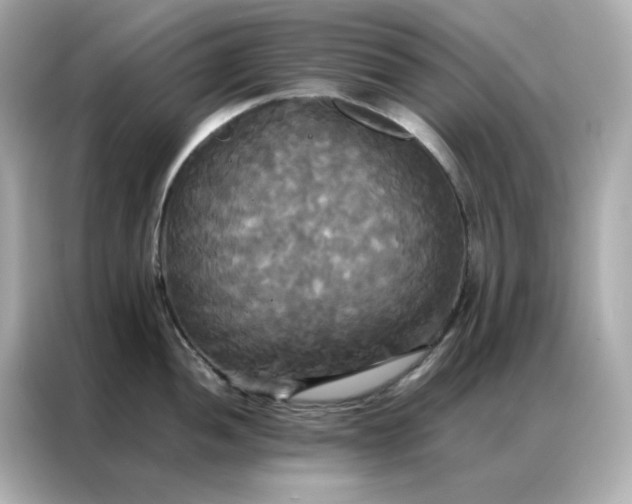 X0000086921052200704301053