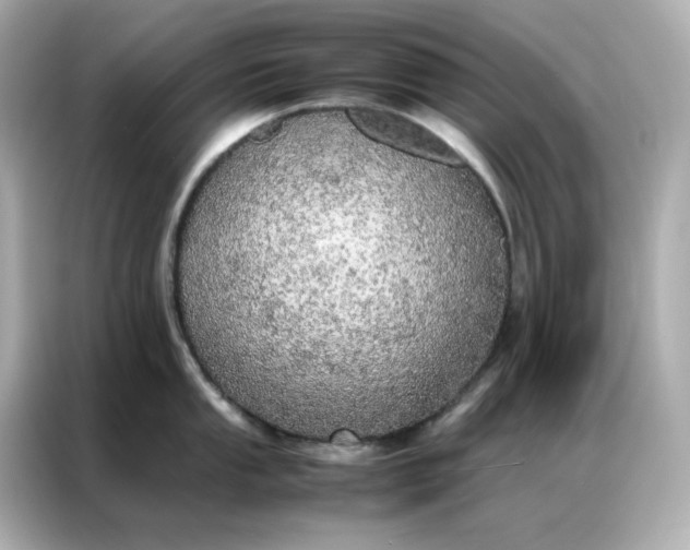 X0000086921053200704301053