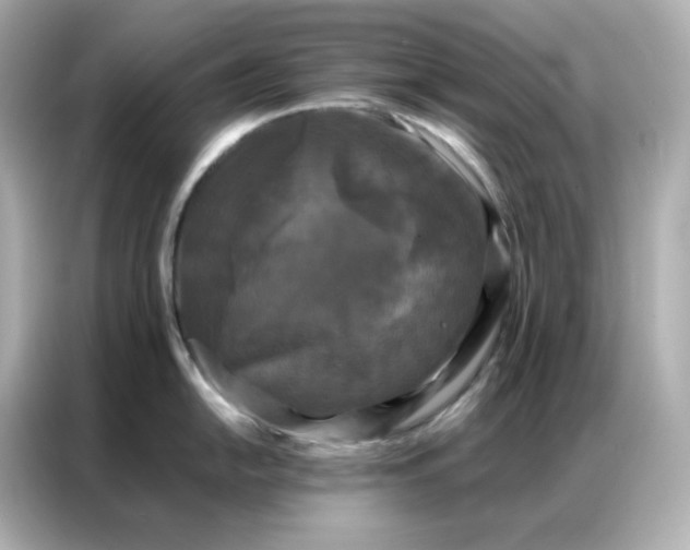X0000086921054200704301053