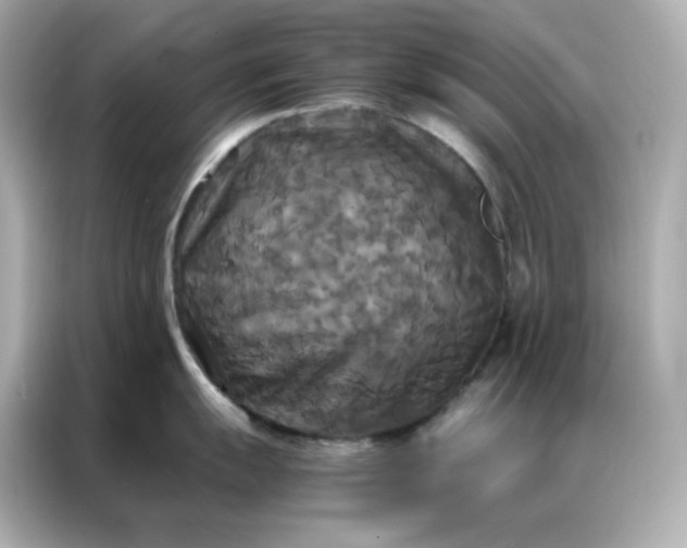 X0000086921055200704301053