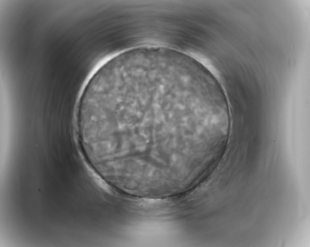 X0000086921056200704301053