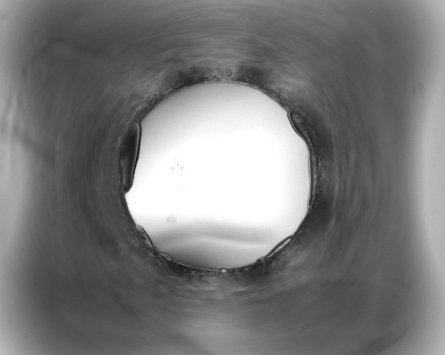 X0000086921057200704301053