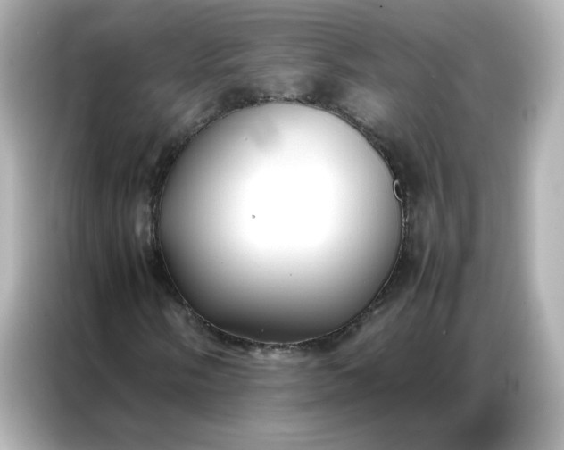 X0000086921058200704301053