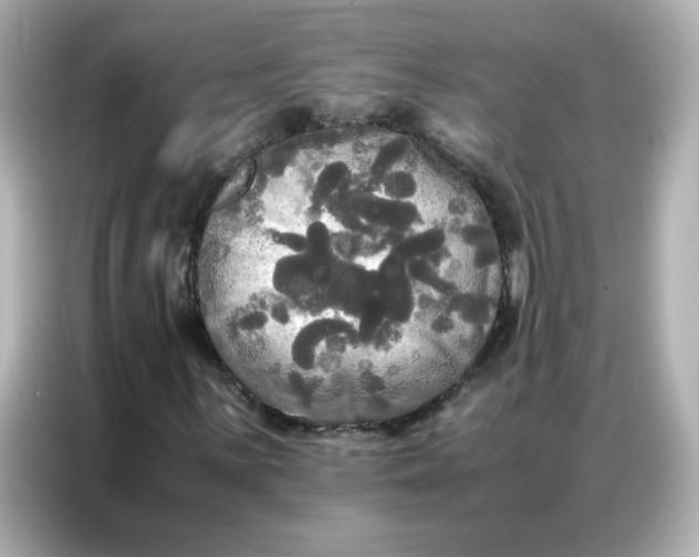 X0000086921059200704301053