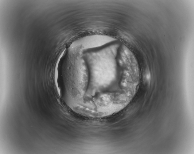 X0000086921060200704301053