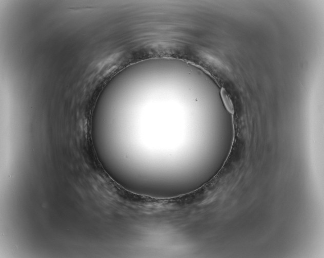 X0000086921061200704301053