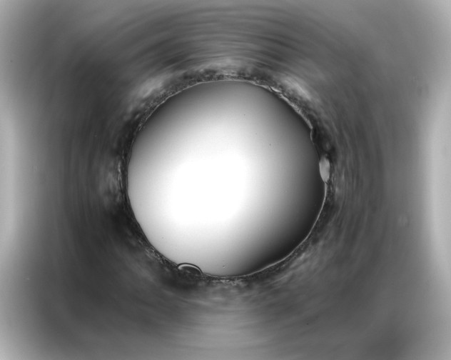 X0000086921062200704301052