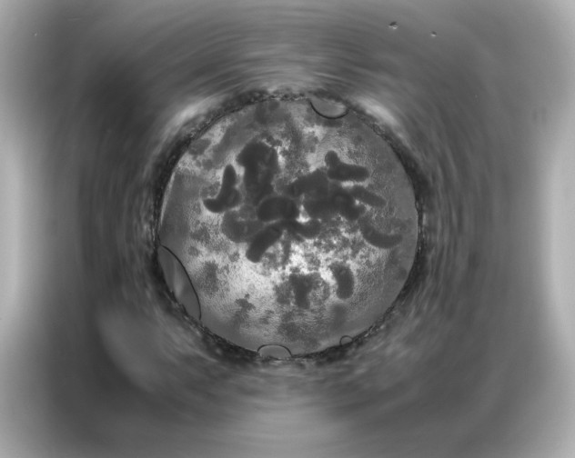 X0000086921063200704301052