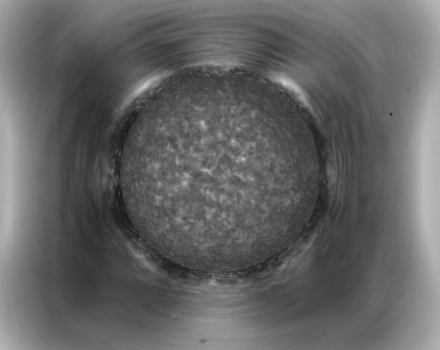 X0000086921064200704301052