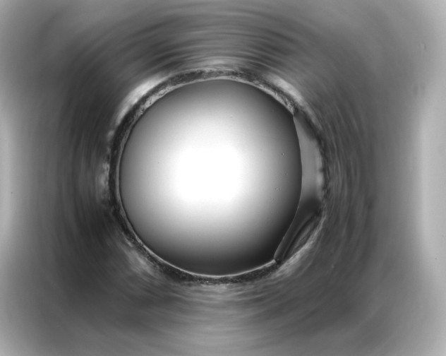 X0000086921066200704301052