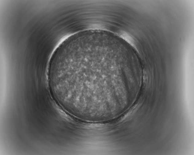 X0000086921068200704301052