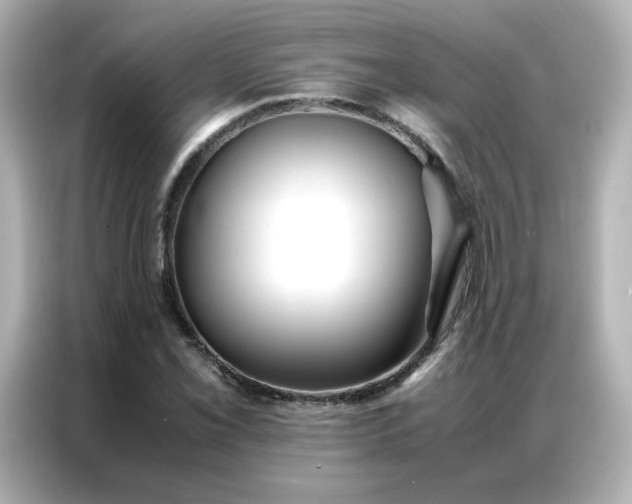 X0000086921069200704301052