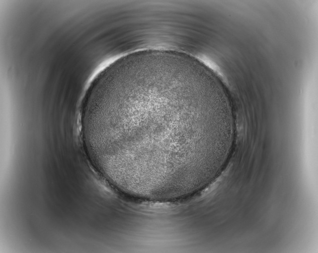 X0000086921070200704301052