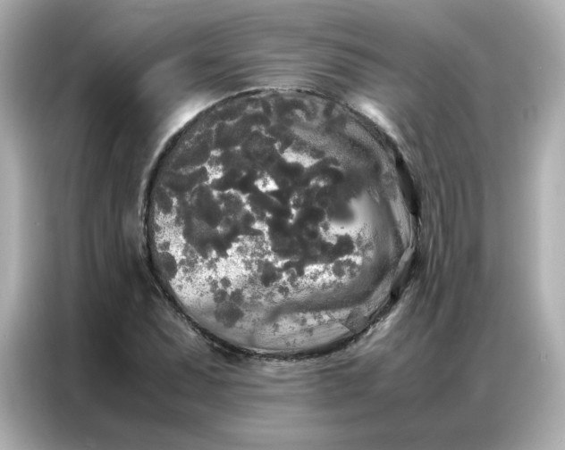 X0000086921071200704301052