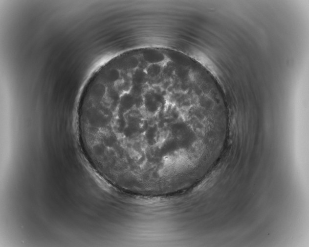 X0000086921072200704301052