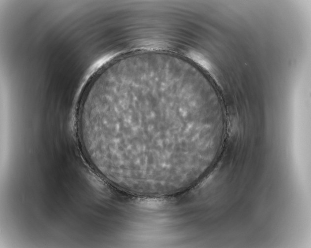 X0000086921074200704301052