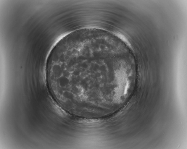 X0000086921076200704301052