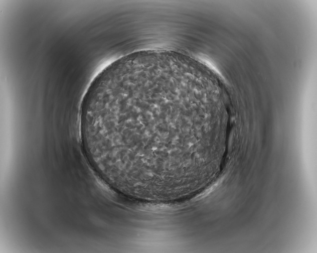 X0000086921079200704301052