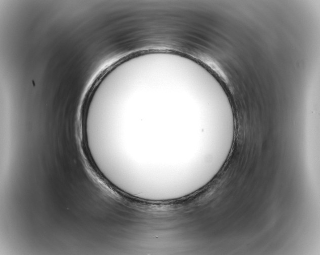 X0000086921080200704301052