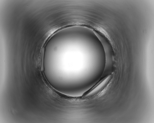 X0000086921081200704301052