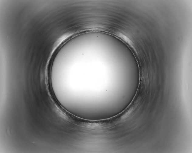 X0000086921082200704301052