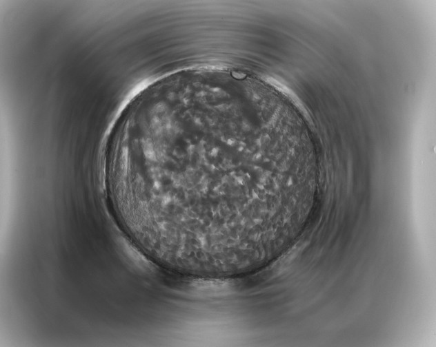 X0000086921083200704301052