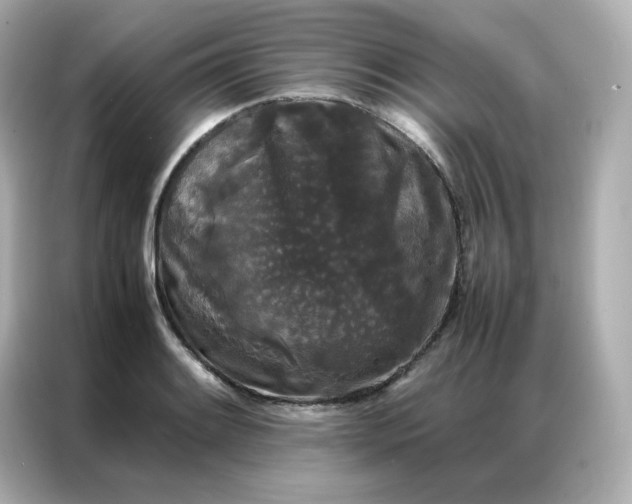 X0000086921084200704301052