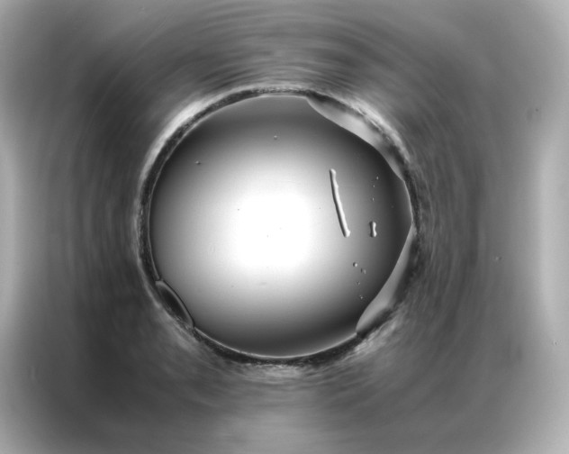 X0000086921085200704301052