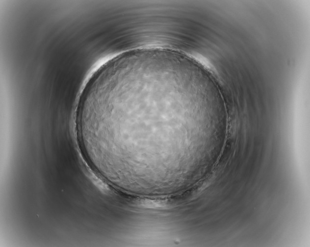 X0000086921086200704301052