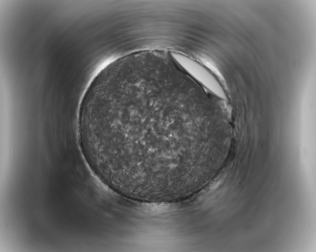 X0000086921087200704301052