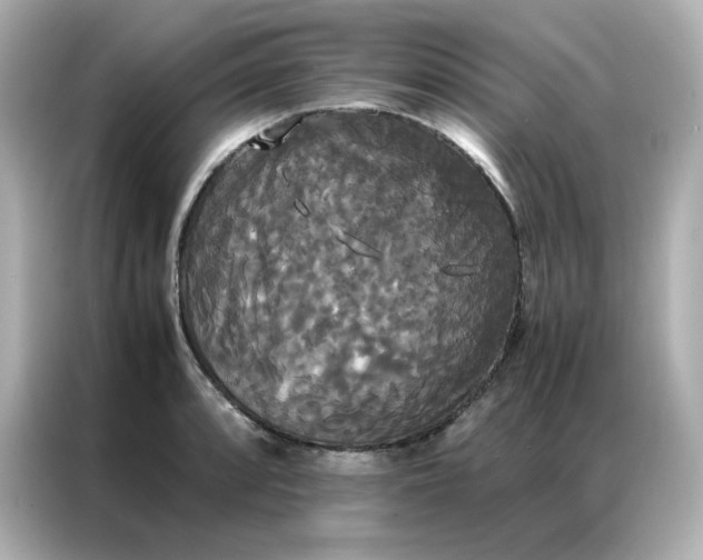 X0000086921088200704301052
