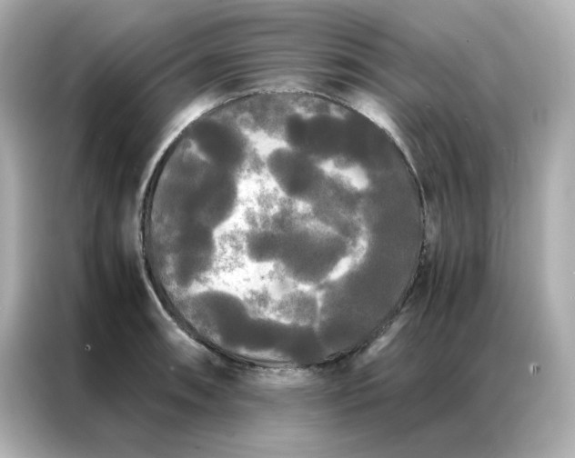 X0000086921090200704301052
